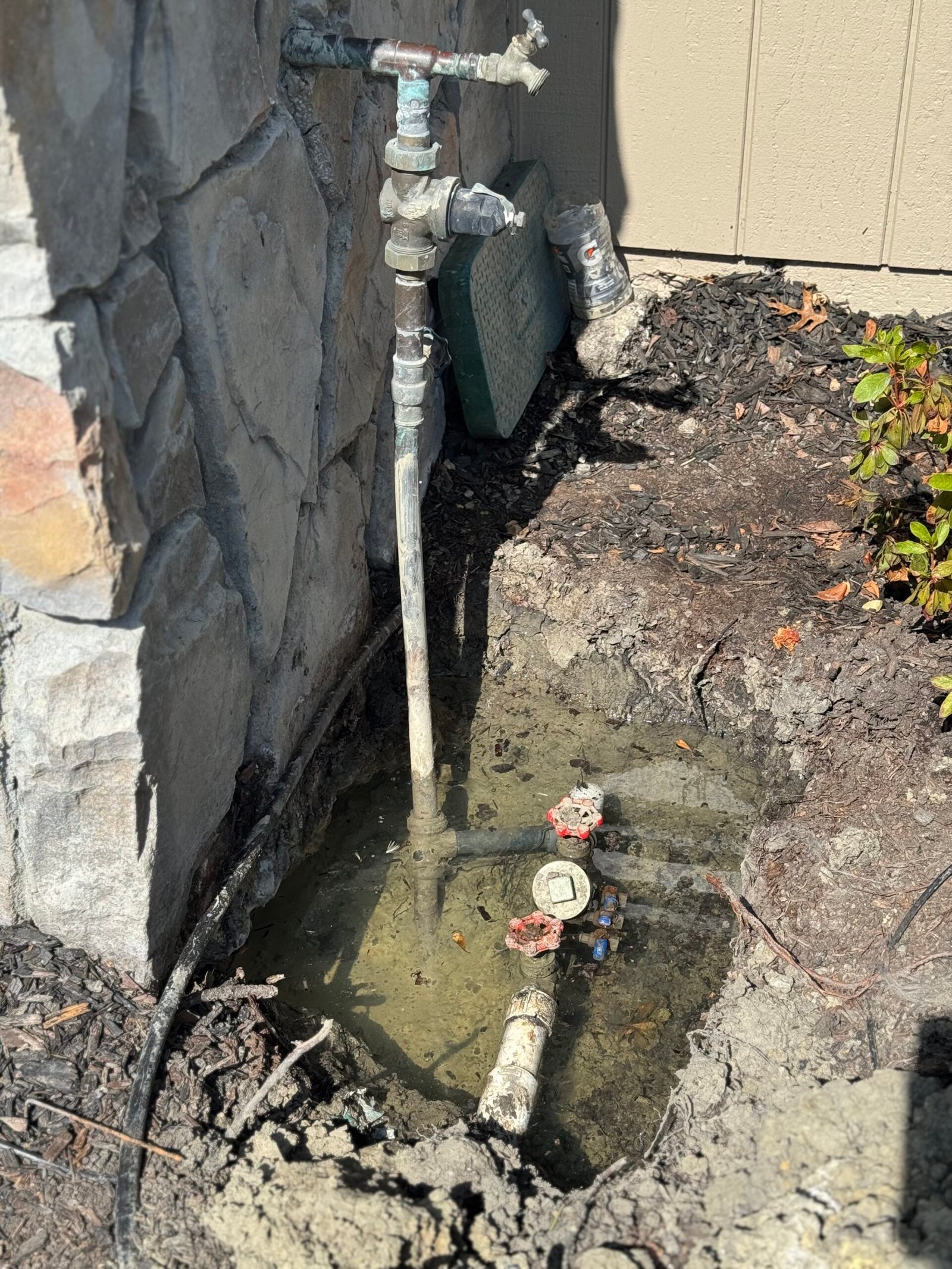How Much Does Professional Leak Detection Cost in the Bay Area?