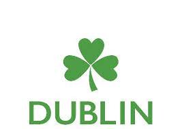 leak detector Dublin water shield leak detection