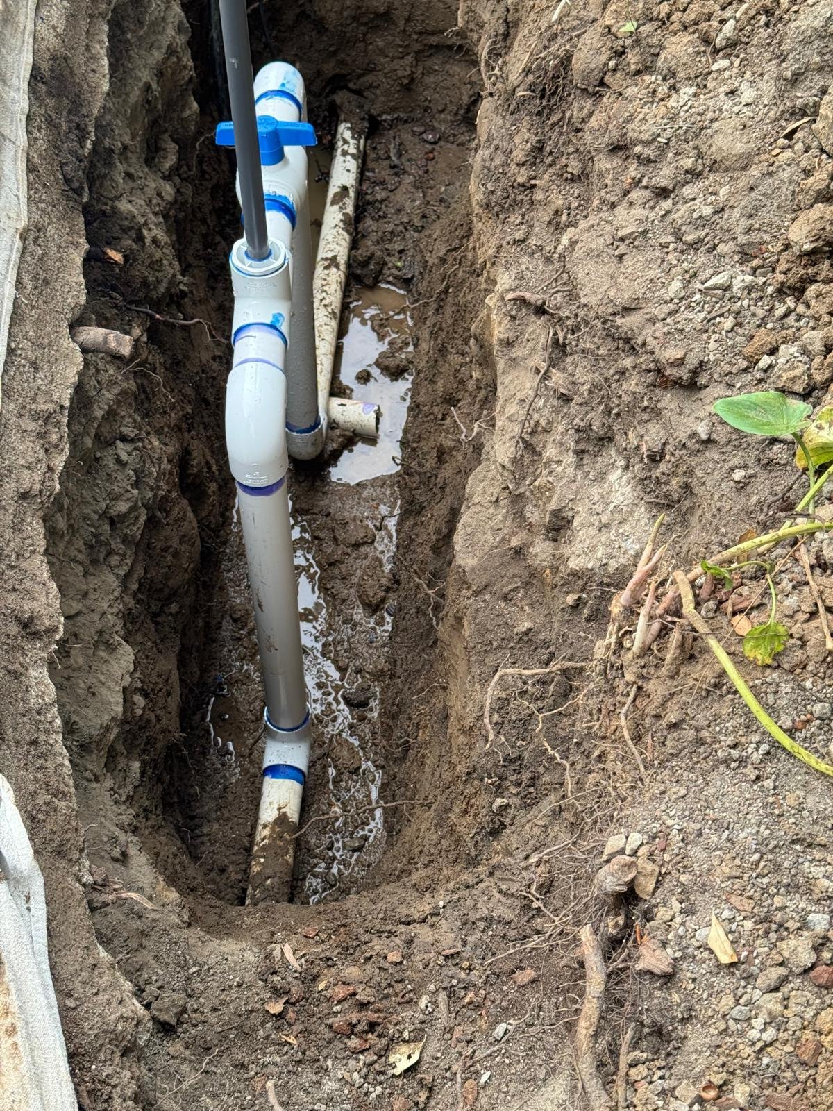 Signs of a Main Water Line Leak on Your Property